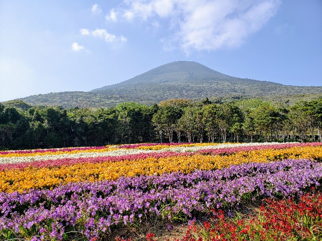 f:id:heyimhappy:20190407203516j:image f:id:heyimhappy:20190407203516j:image
