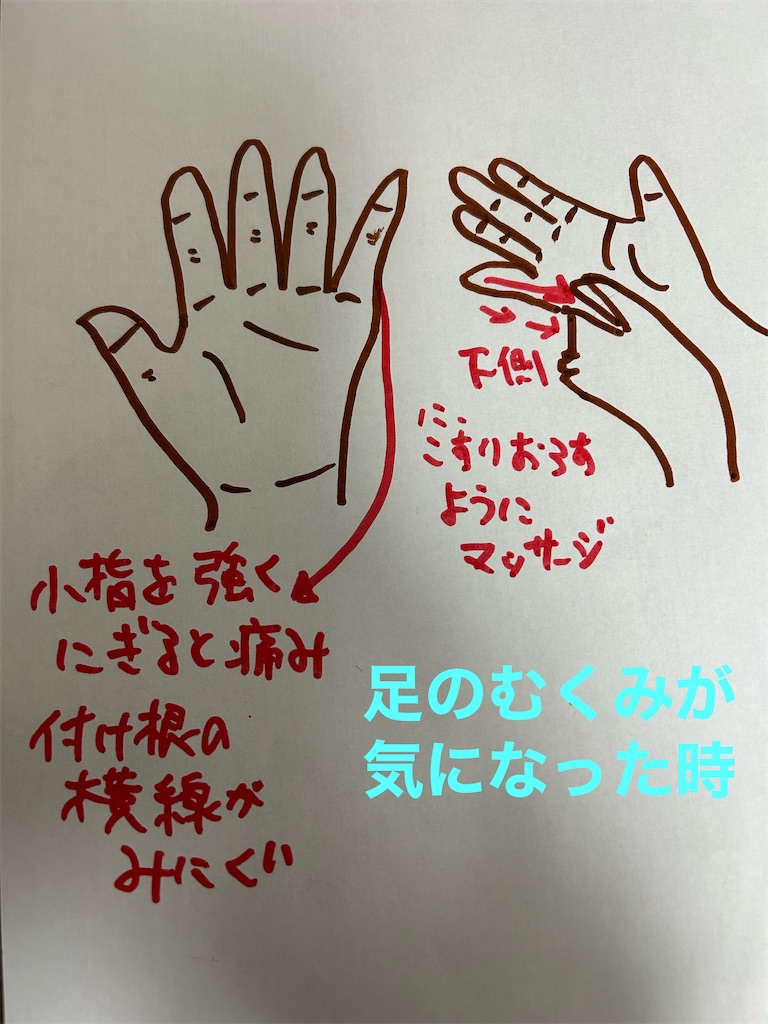 f:id:heyzou8282:20230130133000j:image