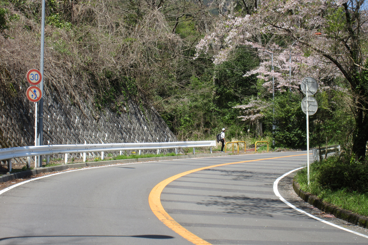 f:id:hg894:20200522203612j:plain f:id:hg894:20200522203612j:plain