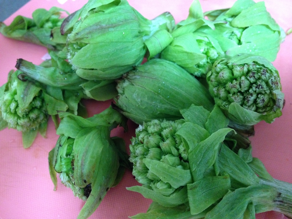 f:id:hggggg:20160320124421j:plain