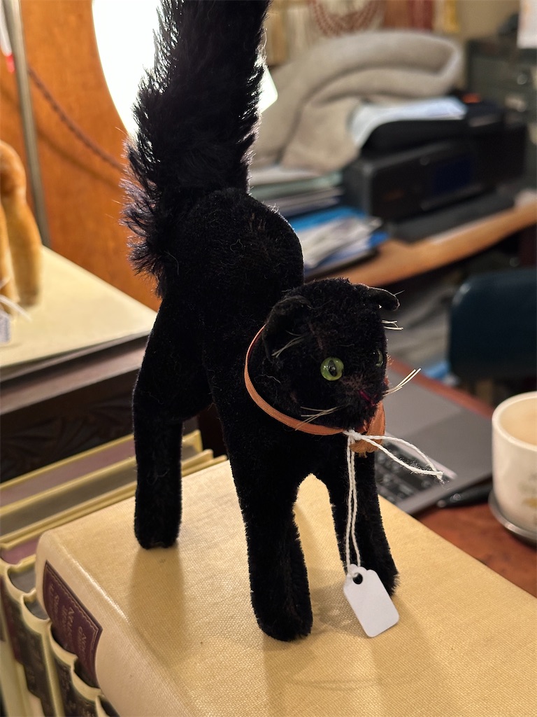 f:id:hggggg:20250226172047j:image