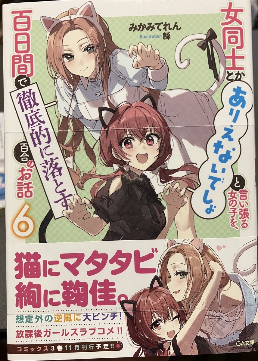 積ん読している百合小説3作（今週のお題） - kz(ケーズ)ライダーの