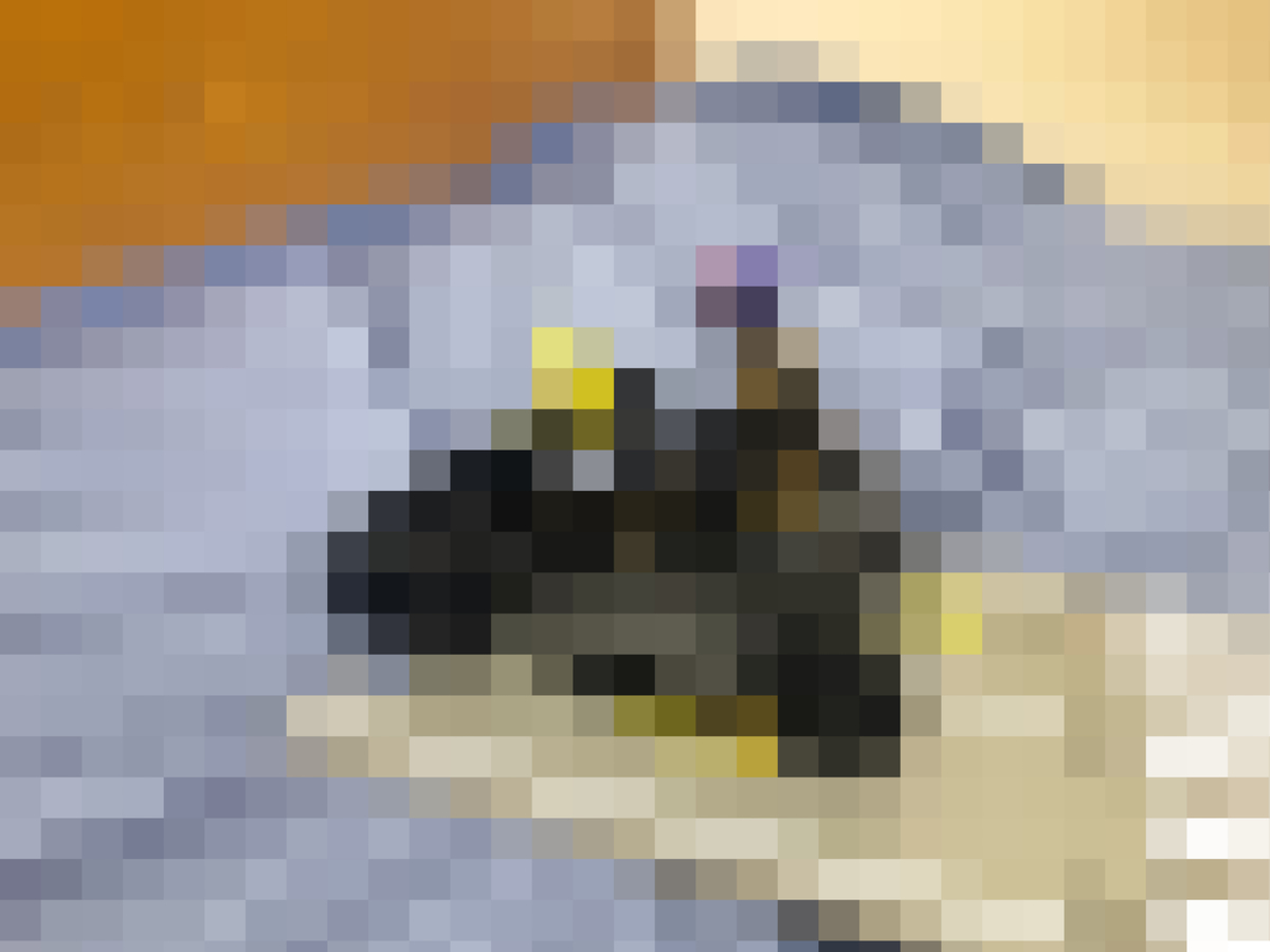 f:id:hgo687:20211002174512j:plain