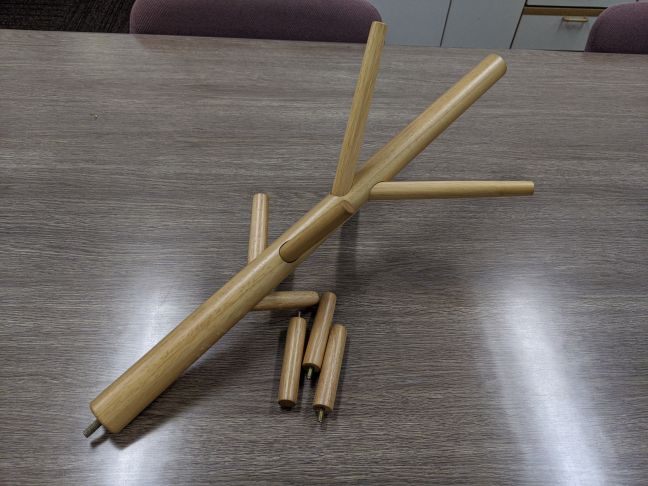 刈り取られて寂しそうな枝