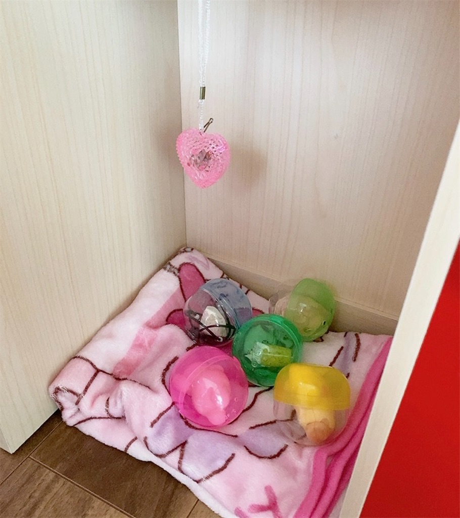 f:id:hhh000:20230831142934j:image f:id:hhh000:20230831142934j:image