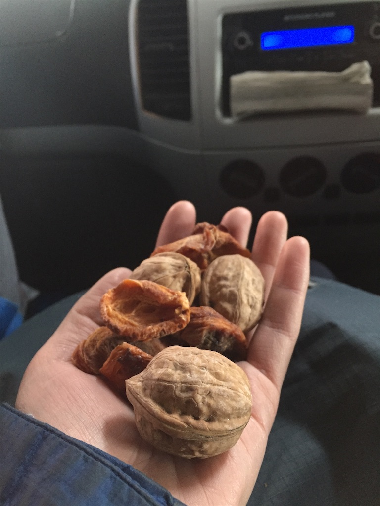 f:id:hi-kumo:20181029221255j:image