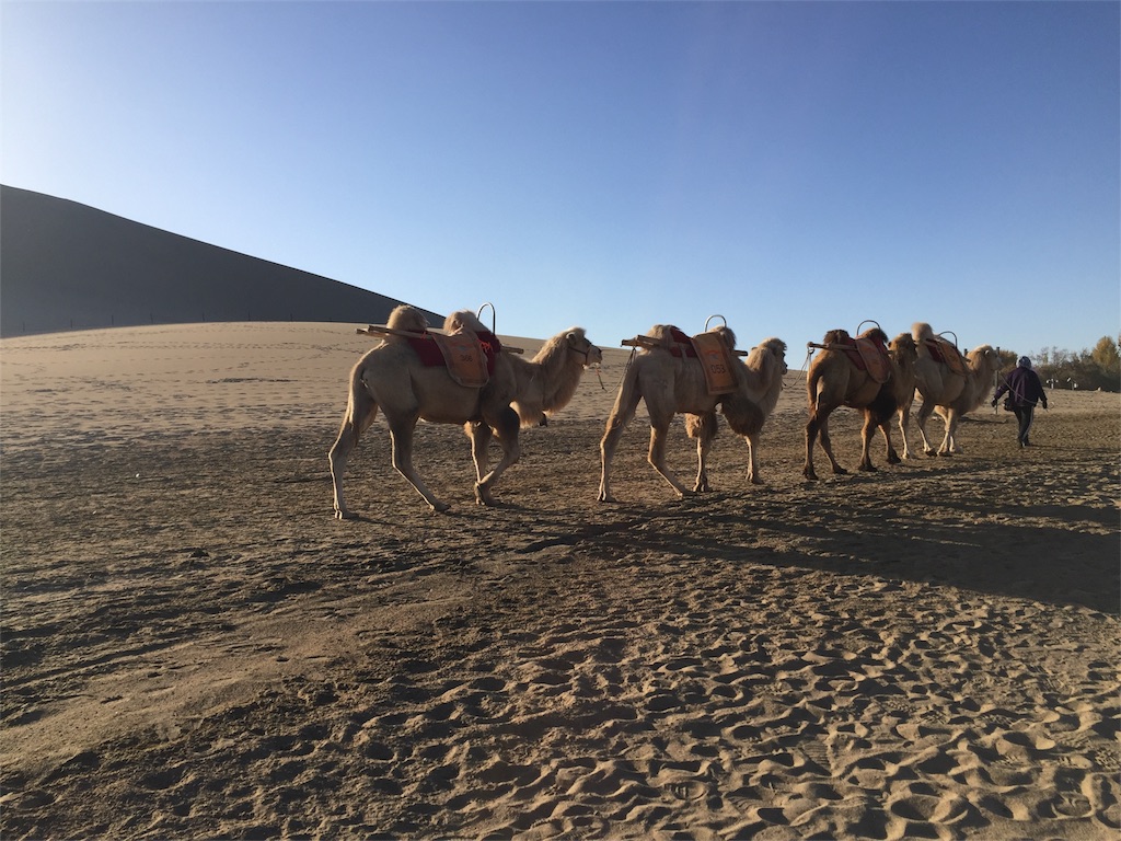 f:id:hi-kumo:20181031083528j:image