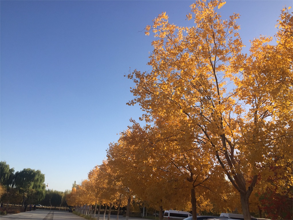 f:id:hi-kumo:20181031083938j:image