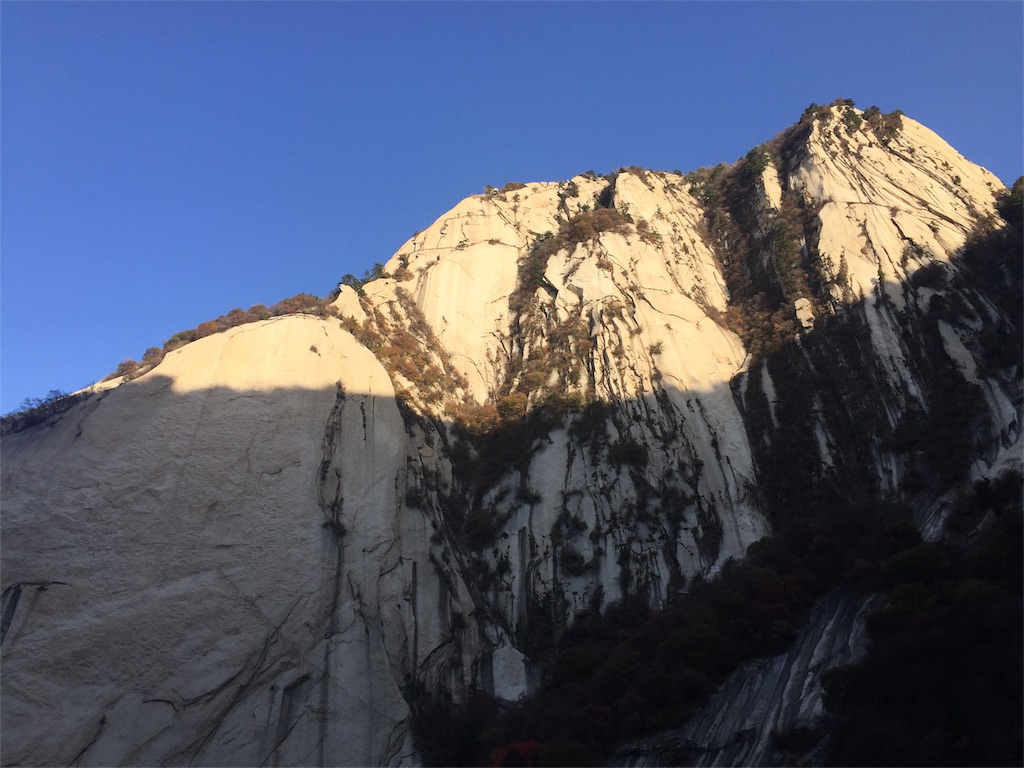 f:id:hi-kumo:20181102013743j:image