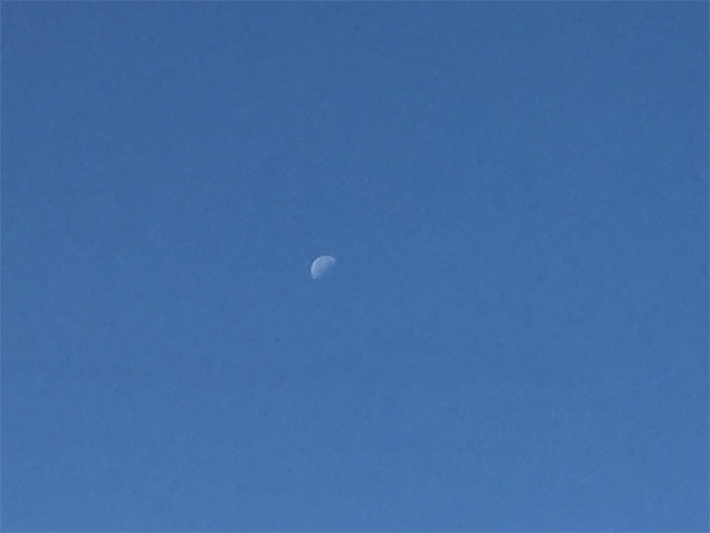 f:id:hi-kumo:20181102014531j:image