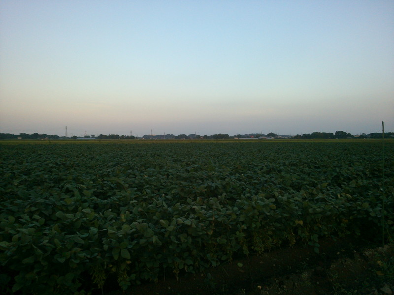 f:id:hi-zakky:20130926210615j:plain