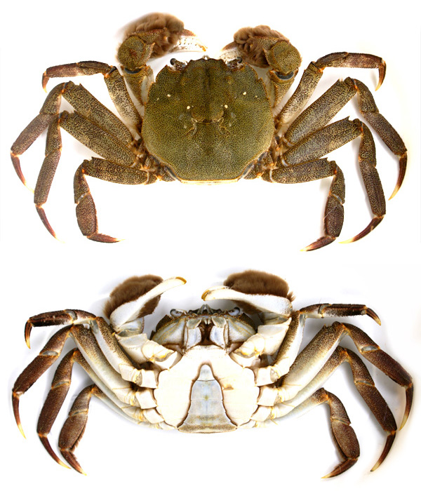 f:id:hi-zakky:20151031130414j:plain f:id:hi-zakky:20151031130414j:plain