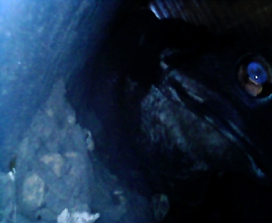 f:id:hi-zakky:20160621210508j:plain:w400 f:id:hi-zakky:20160621210508j:plain:w400