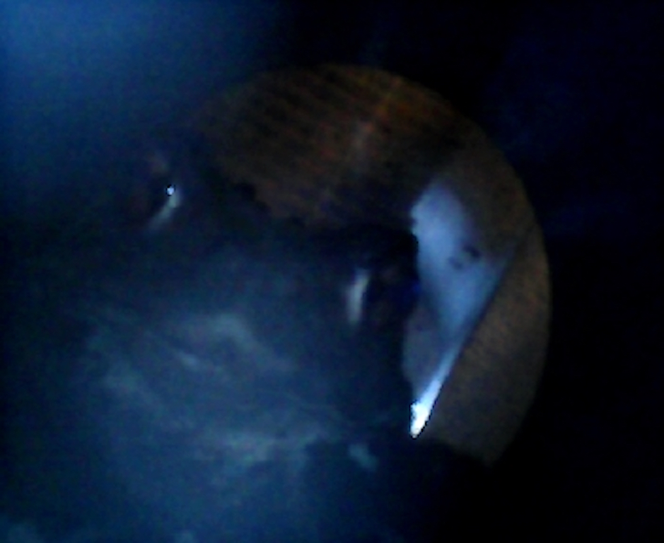 f:id:hi-zakky:20160621210822j:plain:w400 f:id:hi-zakky:20160621210822j:plain:w400