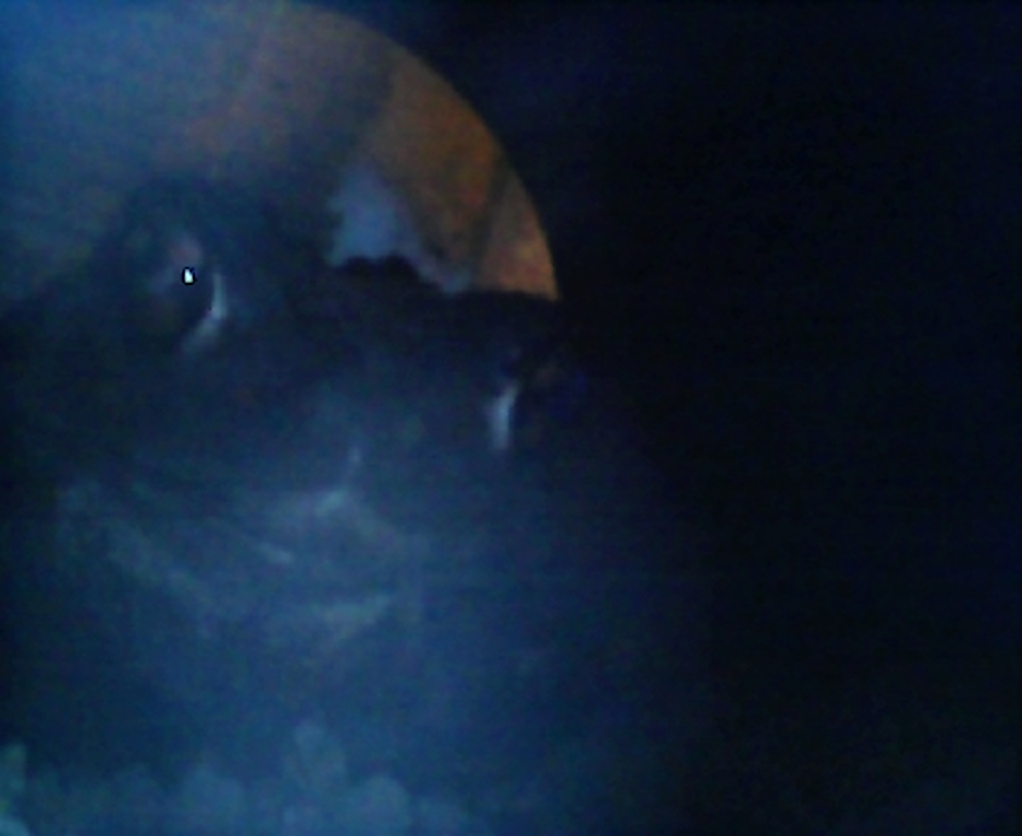 f:id:hi-zakky:20160621210841j:plain:w400 f:id:hi-zakky:20160621210841j:plain:w400