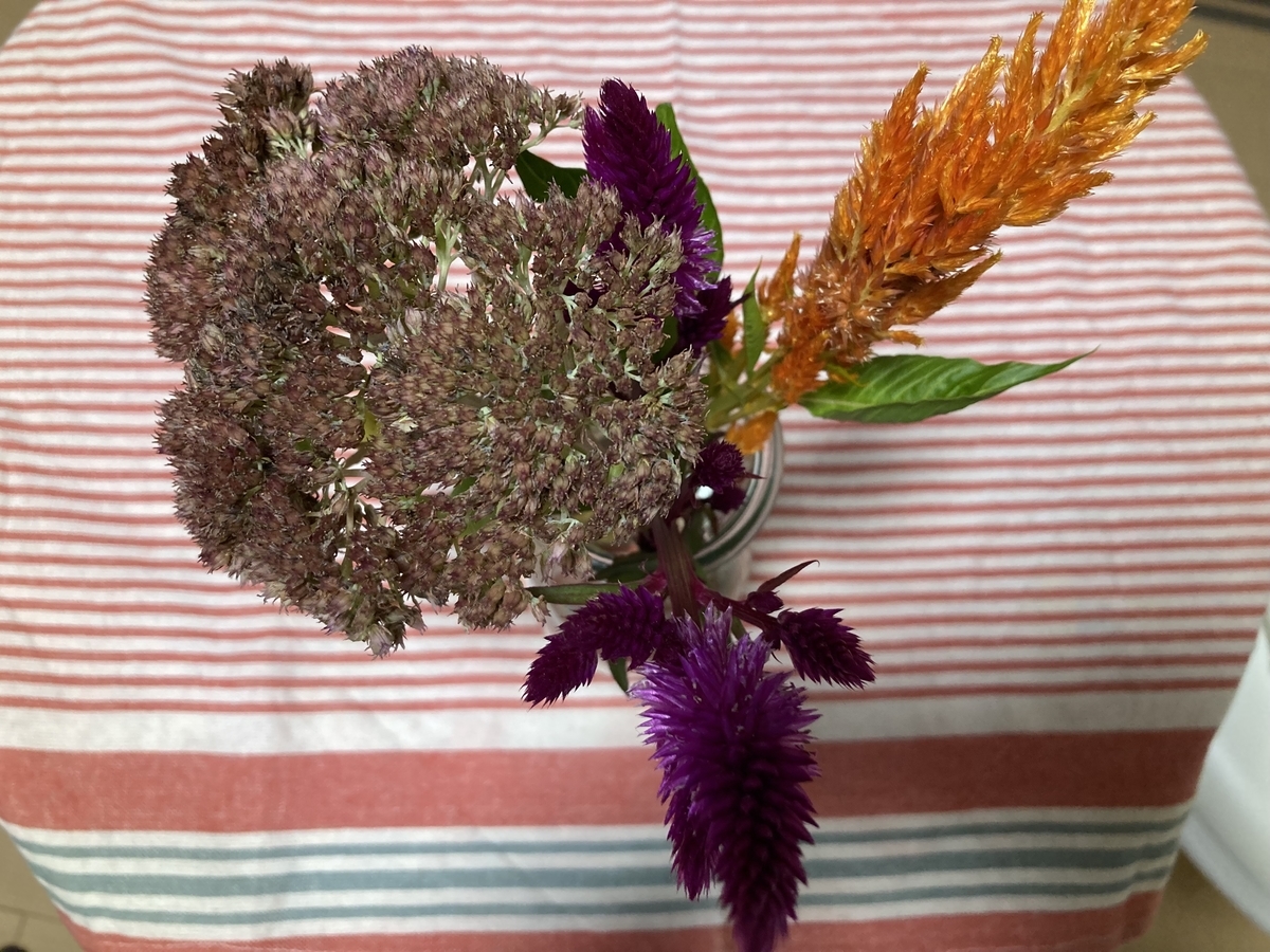 f:id:hi2sug:20211030180815j:plain