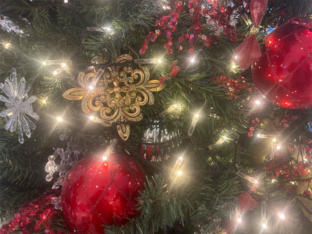 f:id:hi2sug:20241208124807j:image