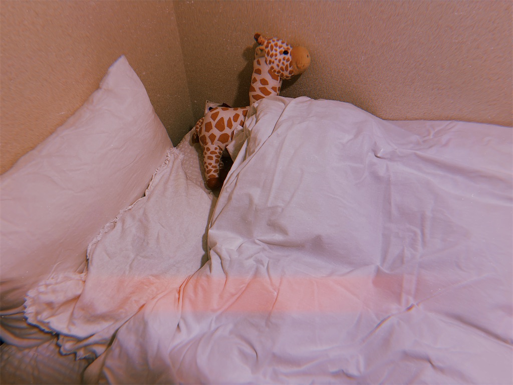 f:id:hi2sug:20250429132438j:image