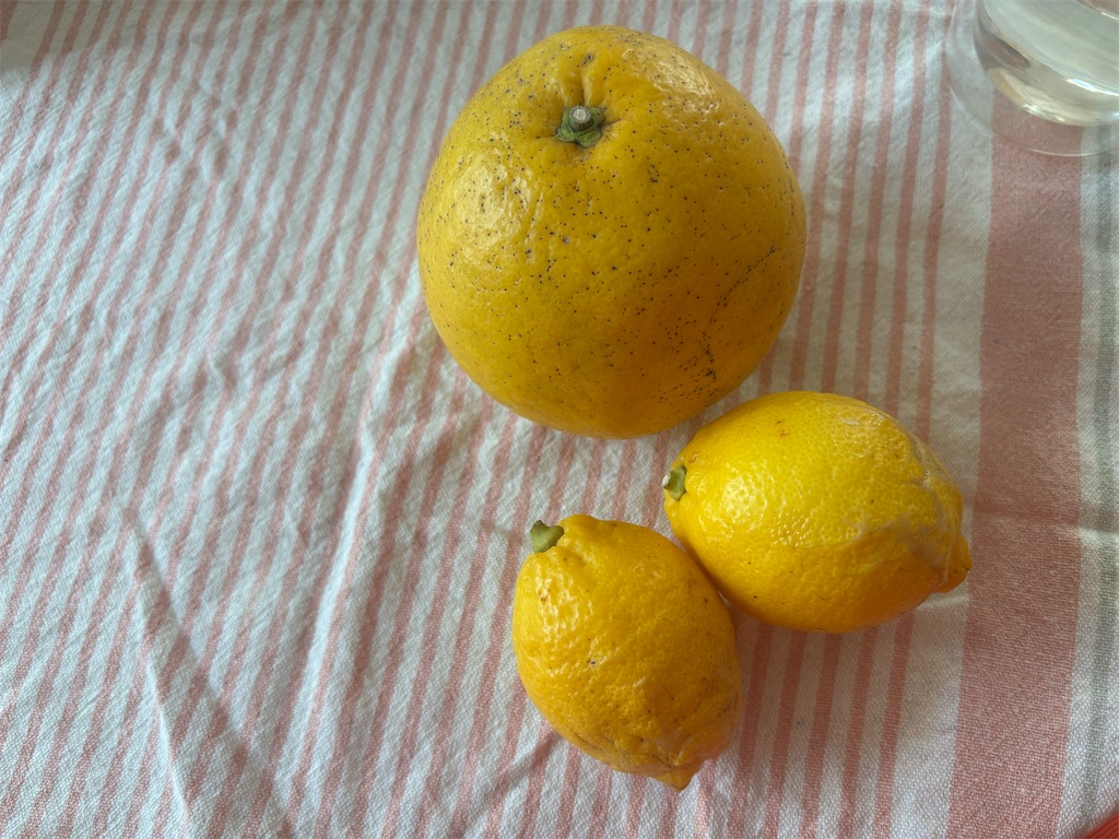 f:id:hi2sug:20250429132728j:image