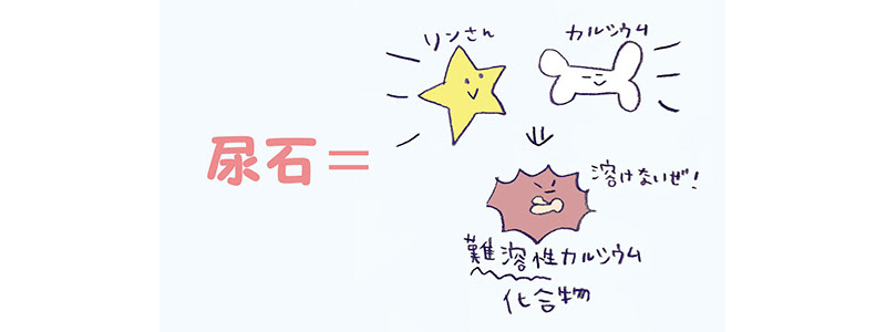 f:id:hi4r1xo:20160802150005j:plain