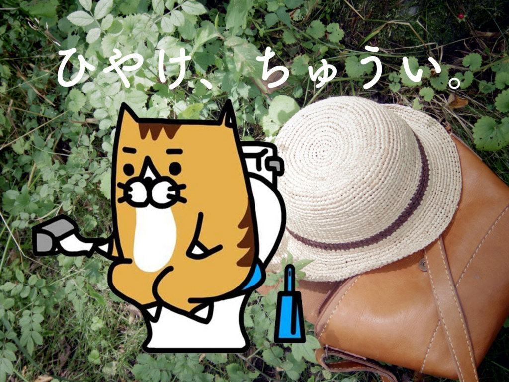 f:id:hi4r1xo:20160802151506j:plain
