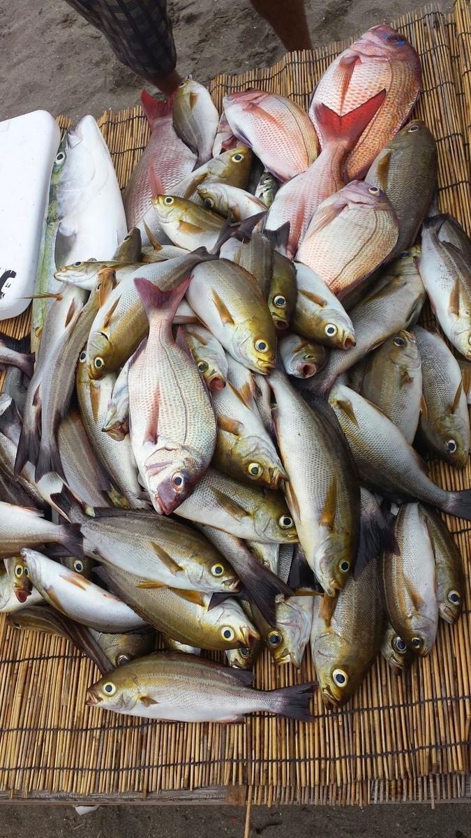 f:id:hi6484:20200117132850j:plain