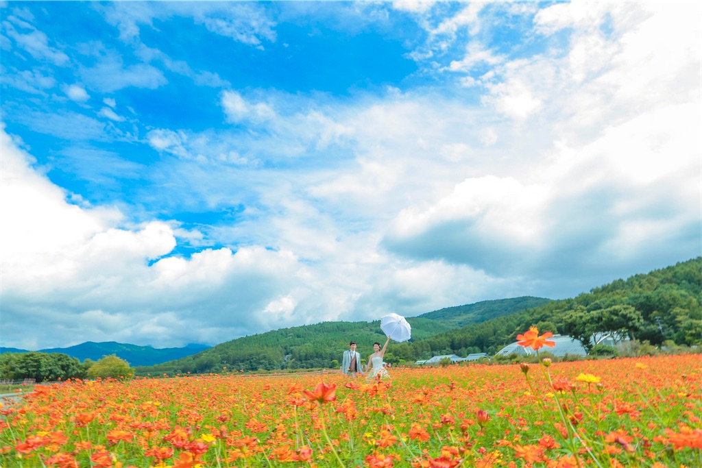 f:id:hiRoMi:20210126225132j:image
