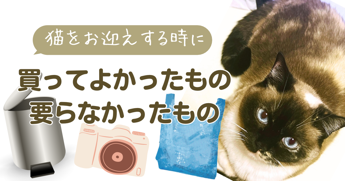 猫を迎えるときに買ってよかったもの&amp;買わなくてもよかったもの