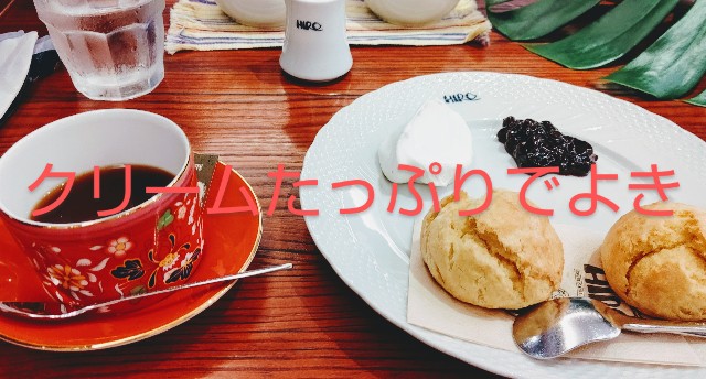 f:id:hibarired:20200919183832j:image
