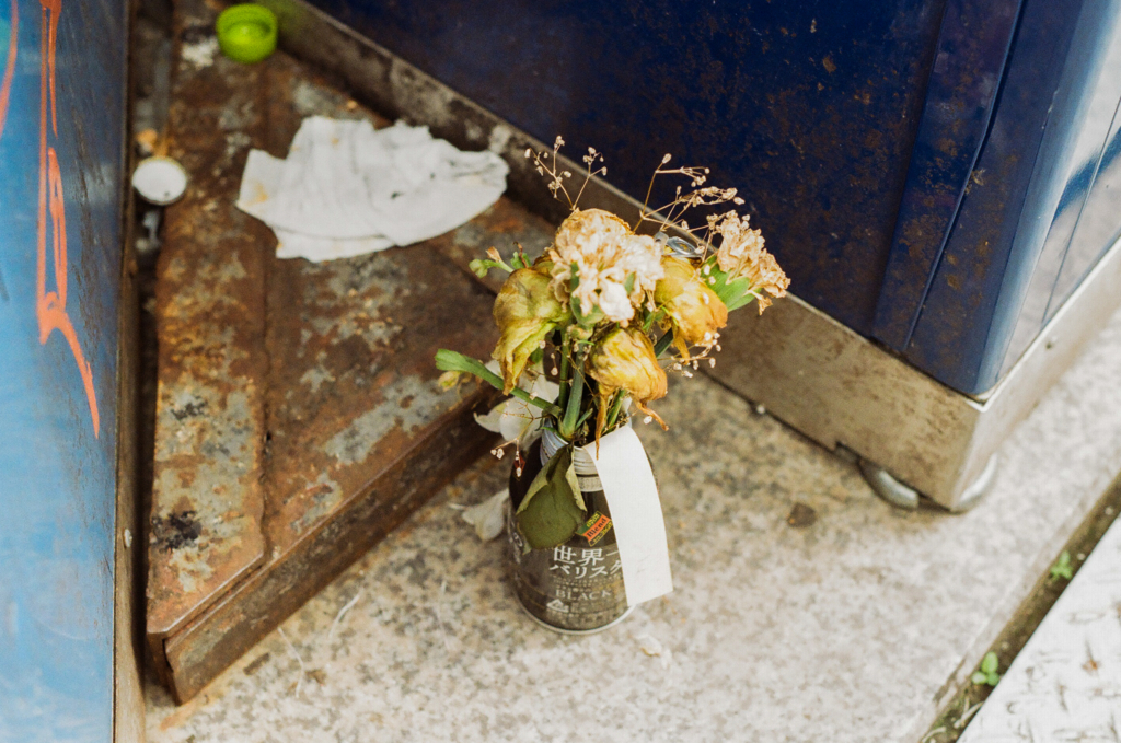 f:id:hibi-mae:20170224145225j:plain f:id:hibi-mae:20170224145225j:plain