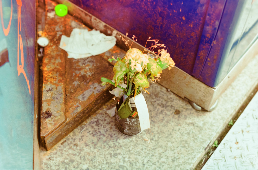 f:id:hibi-mae:20170224145354j:plain f:id:hibi-mae:20170224145354j:plain