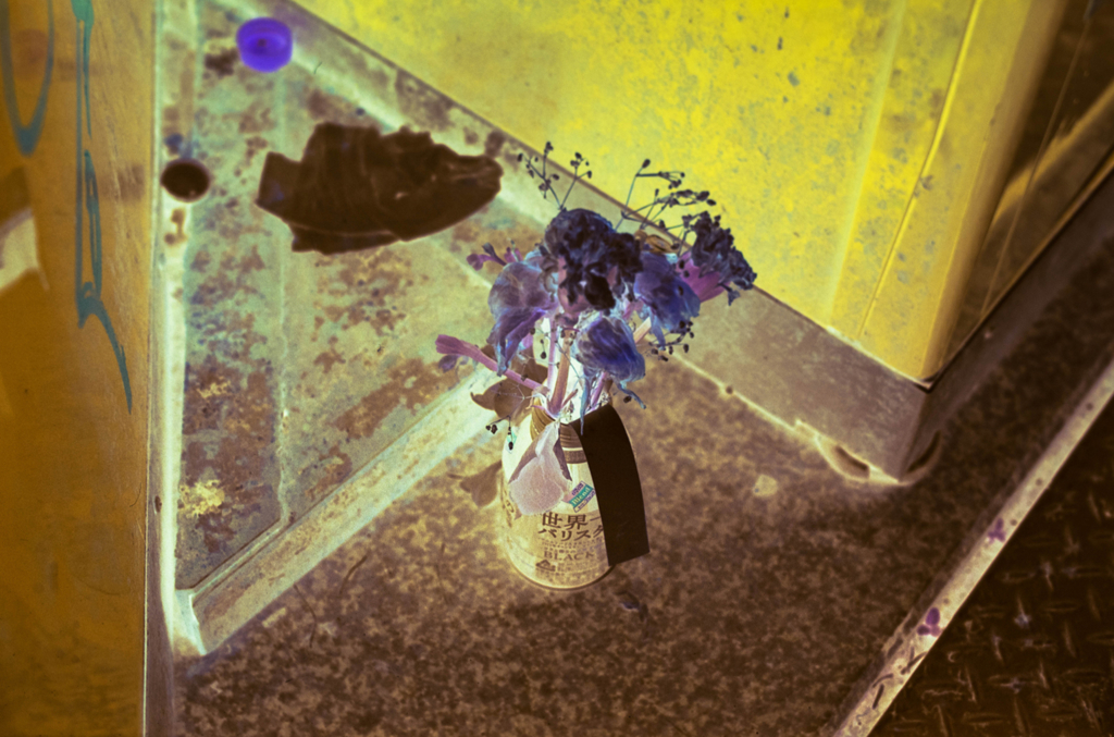 f:id:hibi-mae:20170224154412j:plain f:id:hibi-mae:20170224154412j:plain