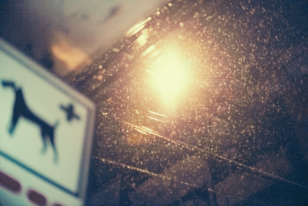 f:id:hibi-mae:20170927124526j:plain