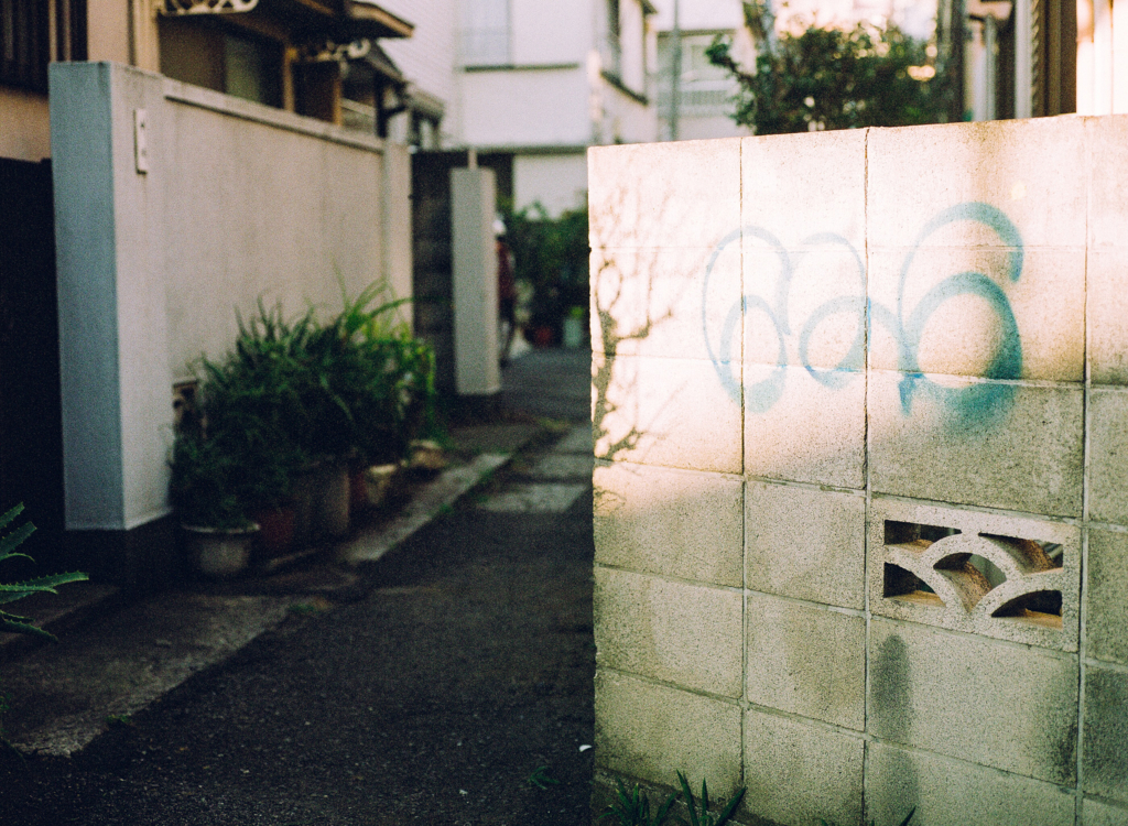 f:id:hibi-mae:20180315115642j:plain f:id:hibi-mae:20180315115642j:plain