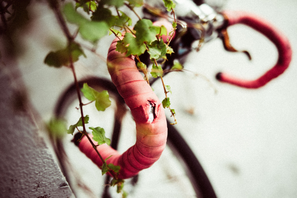 f:id:hibi-mae:20180320134050j:plain