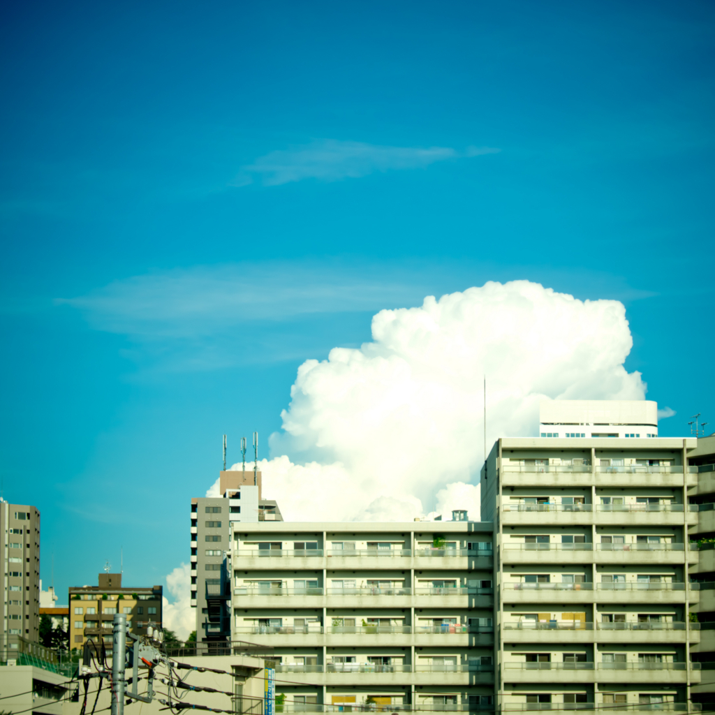 f:id:hibi-mae:20180627154421j:plain f:id:hibi-mae:20180627154421j:plain