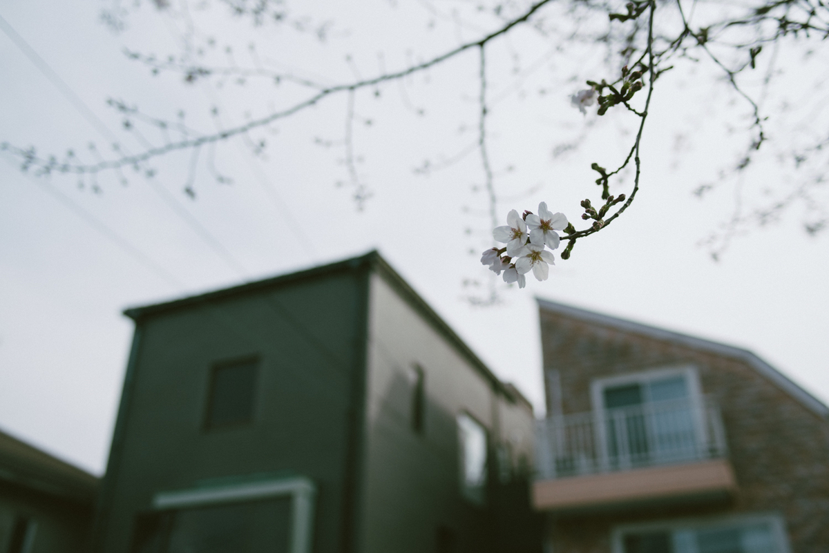 f:id:hibi-mae:20200324001413j:plain