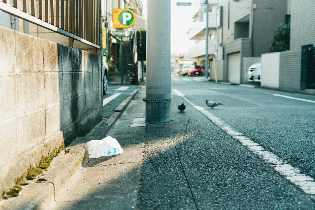 f:id:hibi-mae:20210201013901j:plain