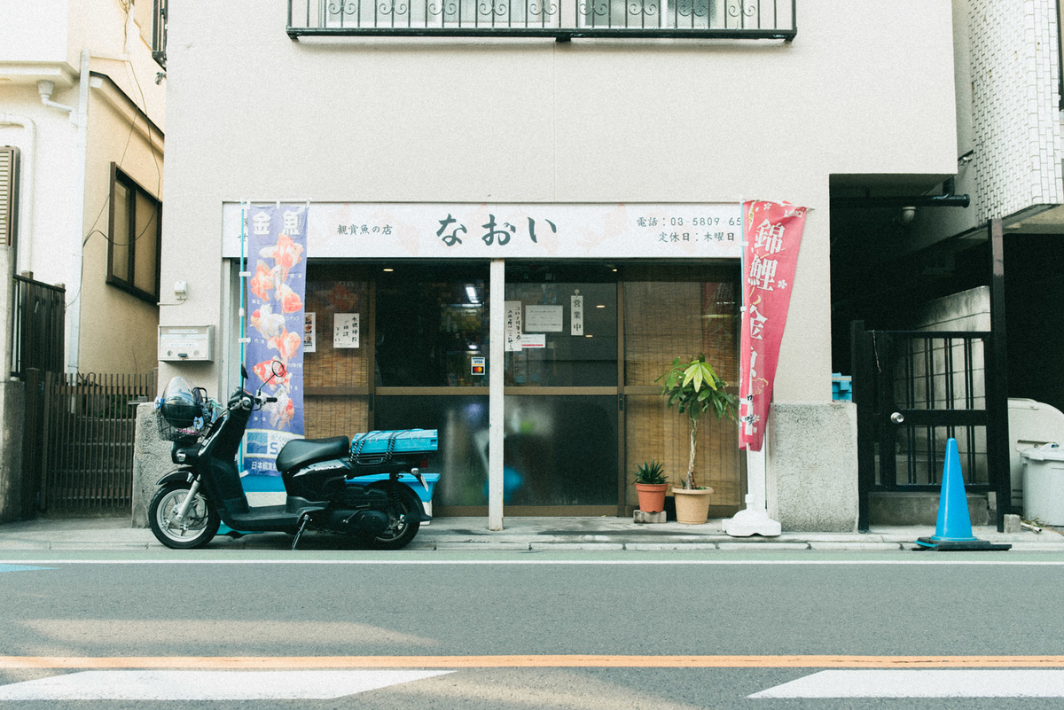 f:id:hibi-mae:20210202104621j:plain