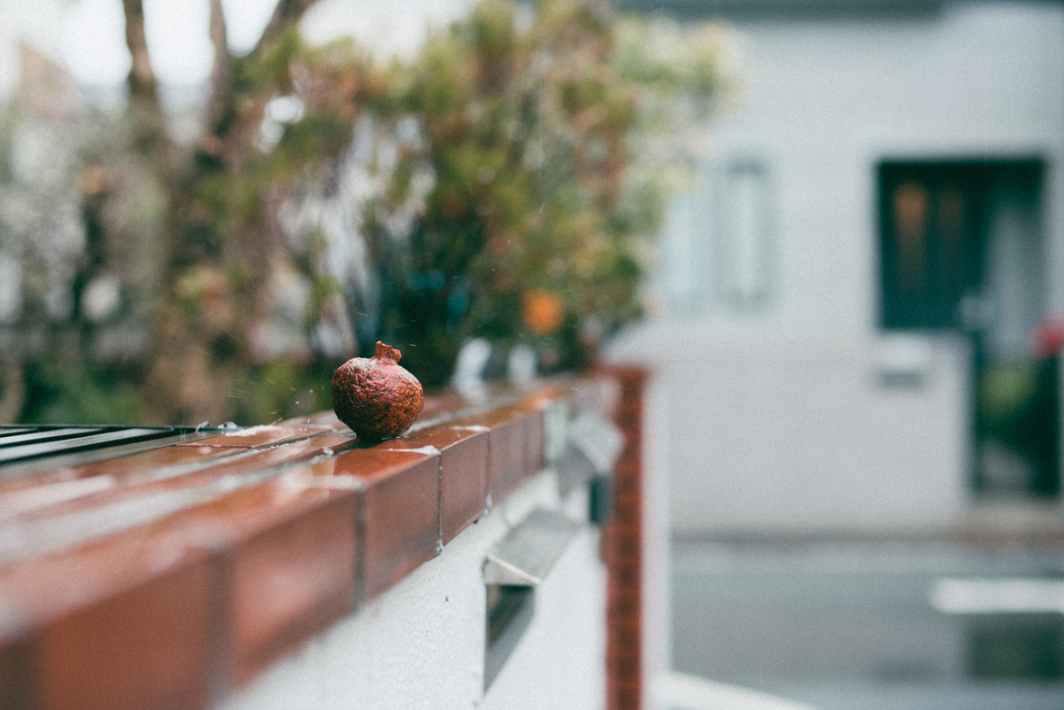 f:id:hibi-mae:20210215010102j:plain