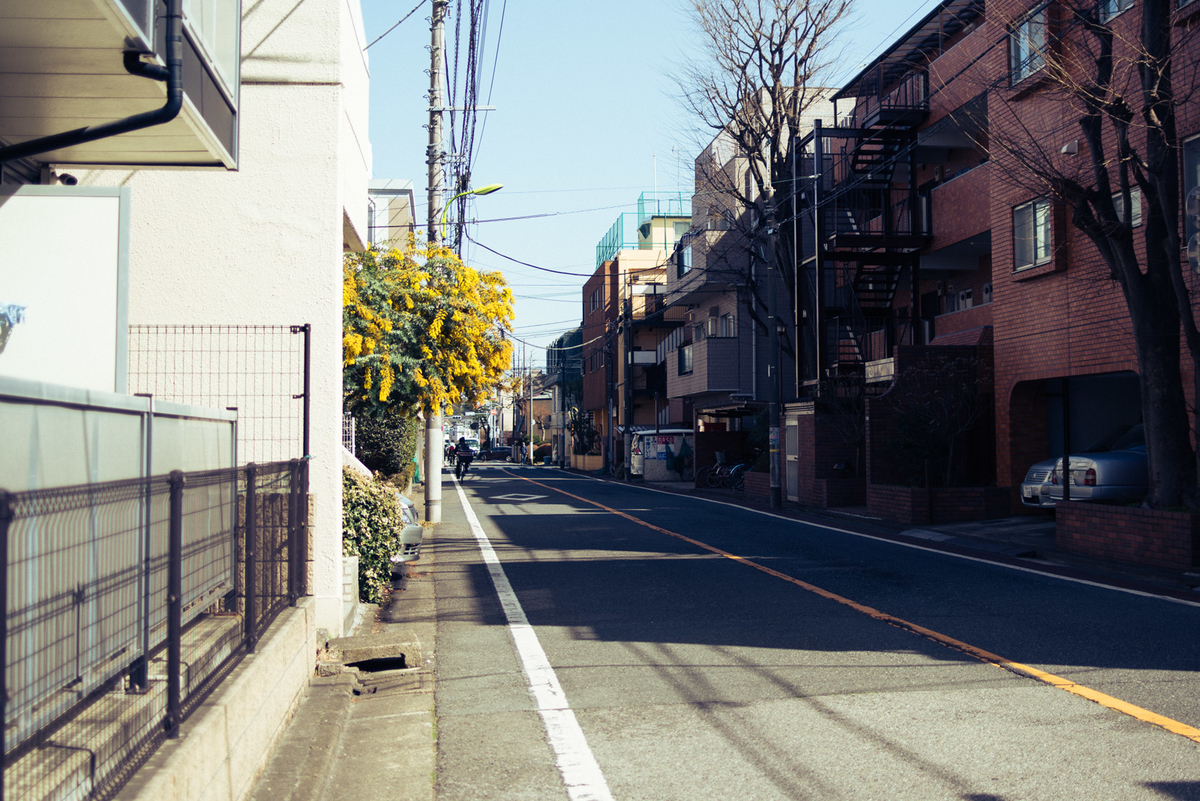 f:id:hibi-mae:20210312143729j:plain