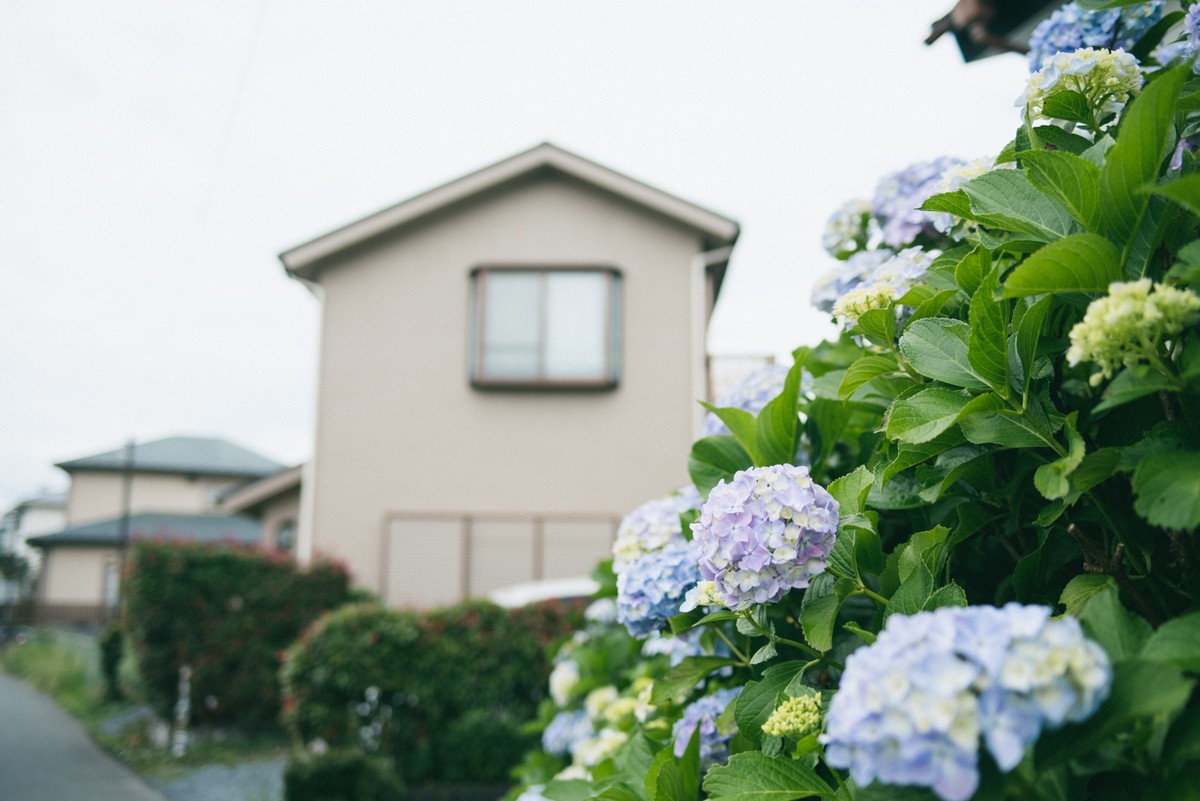 f:id:hibi-mae:20210614011109j:plain