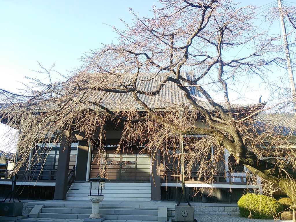 f:id:hibi2007:20170317162745j:plain