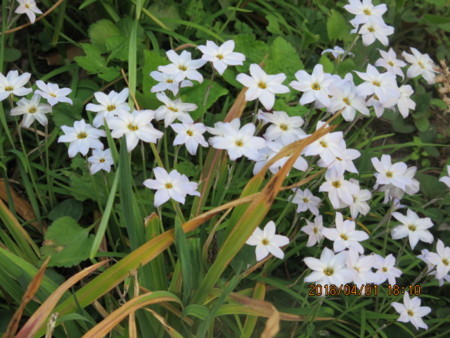 f:id:hibi2tiyo:20180401181046j:image f:id:hibi2tiyo:20180401181046j:image