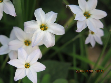 f:id:hibi2tiyo:20180401181101j:image f:id:hibi2tiyo:20180401181101j:image