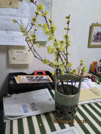 f:id:hibi2tiyo:20190109192816j:image f:id:hibi2tiyo:20190109192816j:image