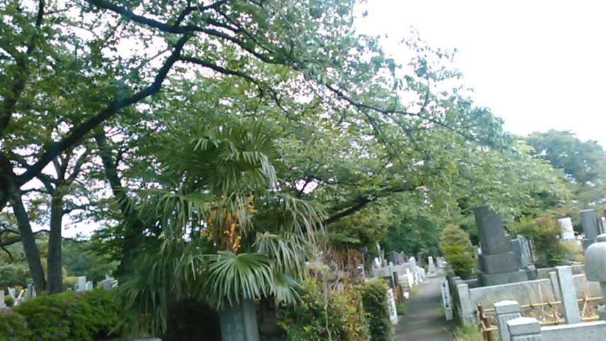 f:id:hibi333zakkan:20180428211938j:plain f:id:hibi333zakkan:20180428211938j:plain