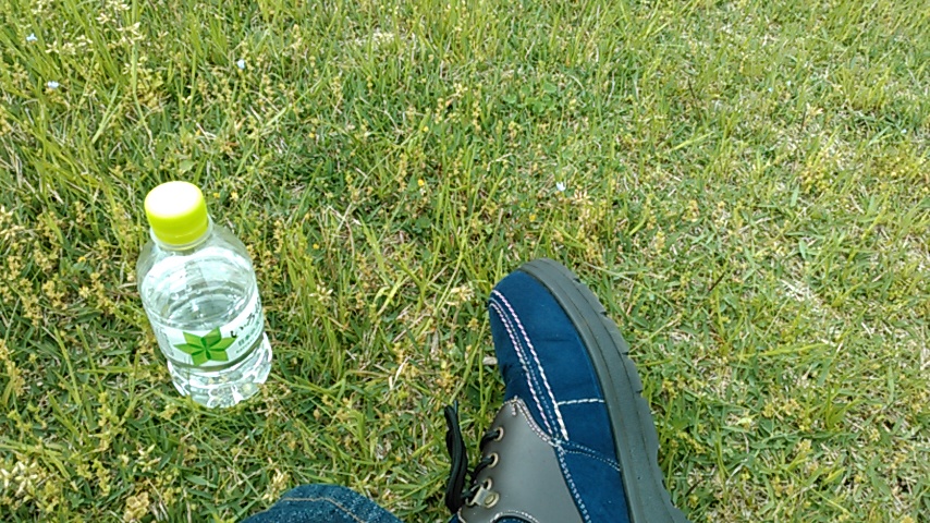 f:id:hibi333zakkan:20180504180825j:plain f:id:hibi333zakkan:20180504180825j:plain