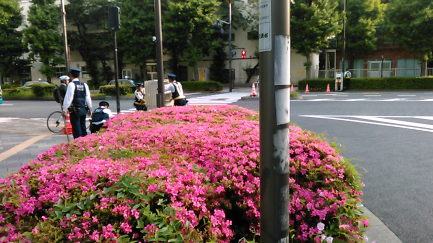 f:id:hibi333zakkan:20180512000115j:plain f:id:hibi333zakkan:20180512000115j:plain