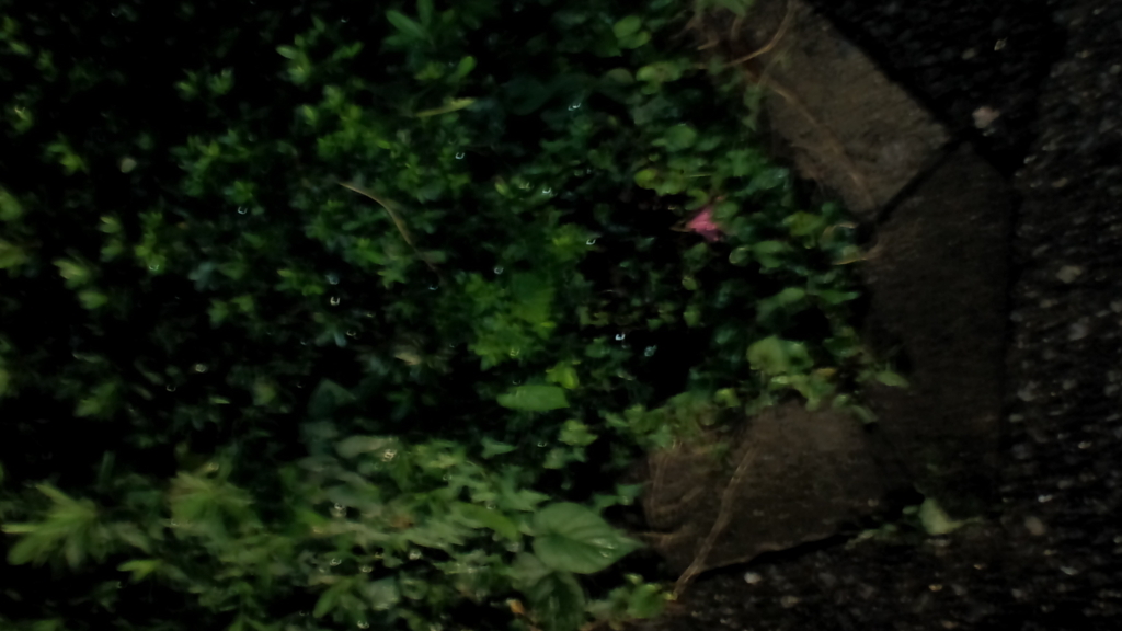 f:id:hibi333zakkan:20180613235648j:plain f:id:hibi333zakkan:20180613235648j:plain